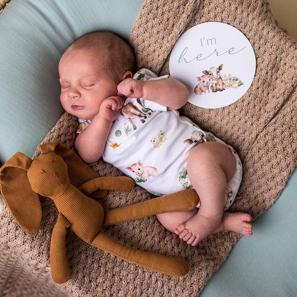 Farm Short Sleeve Organic Bodysuit: Newborn (0000)
