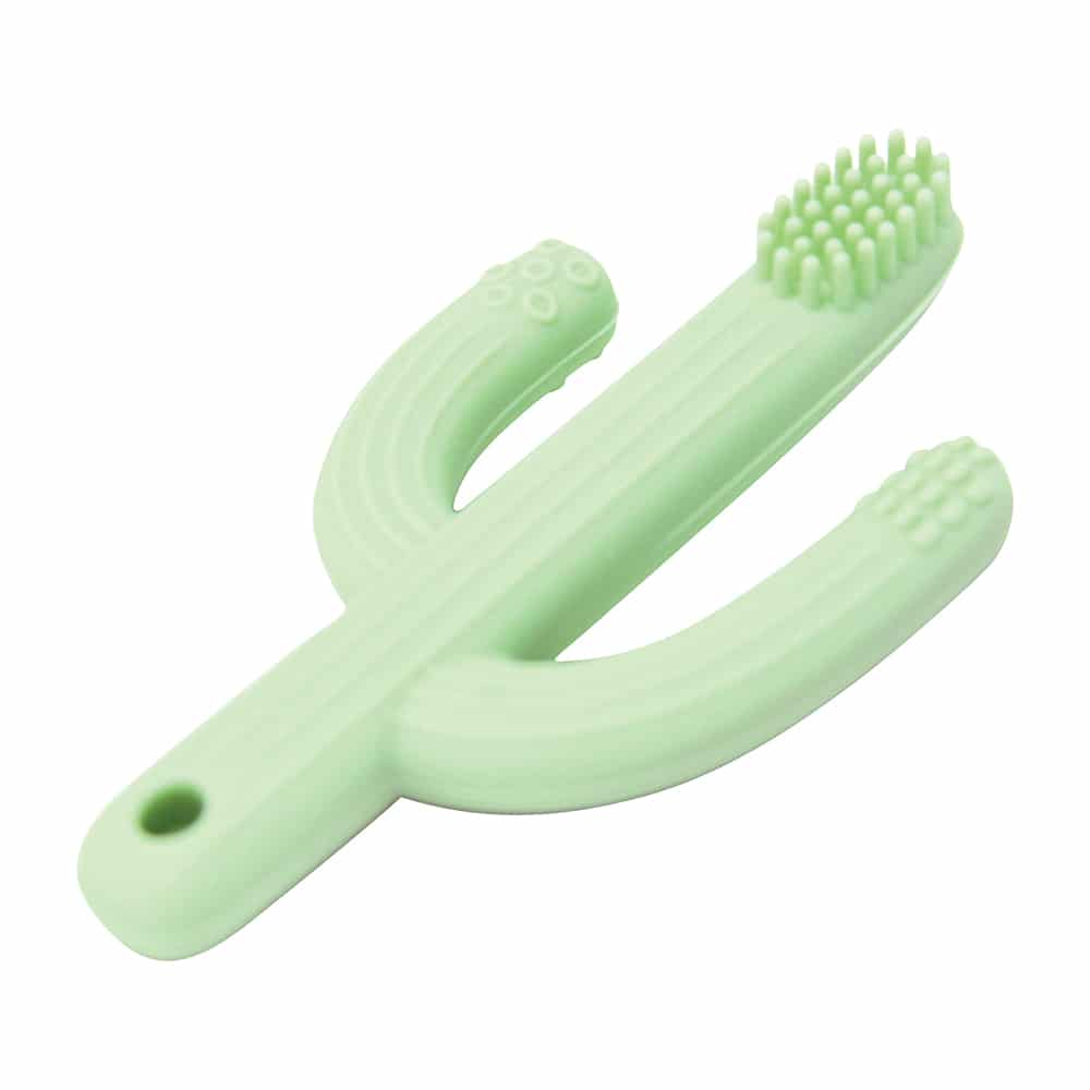 Annabel Trends Silicone Teether Cactus Assorted Colours In case