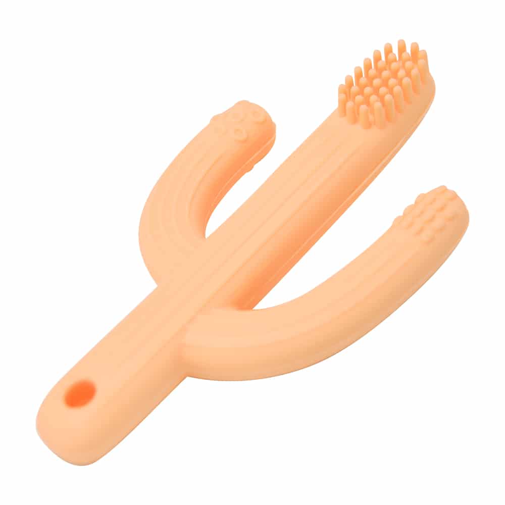 Annabel Trends Silicone Teether Cactus Assorted Colours In case