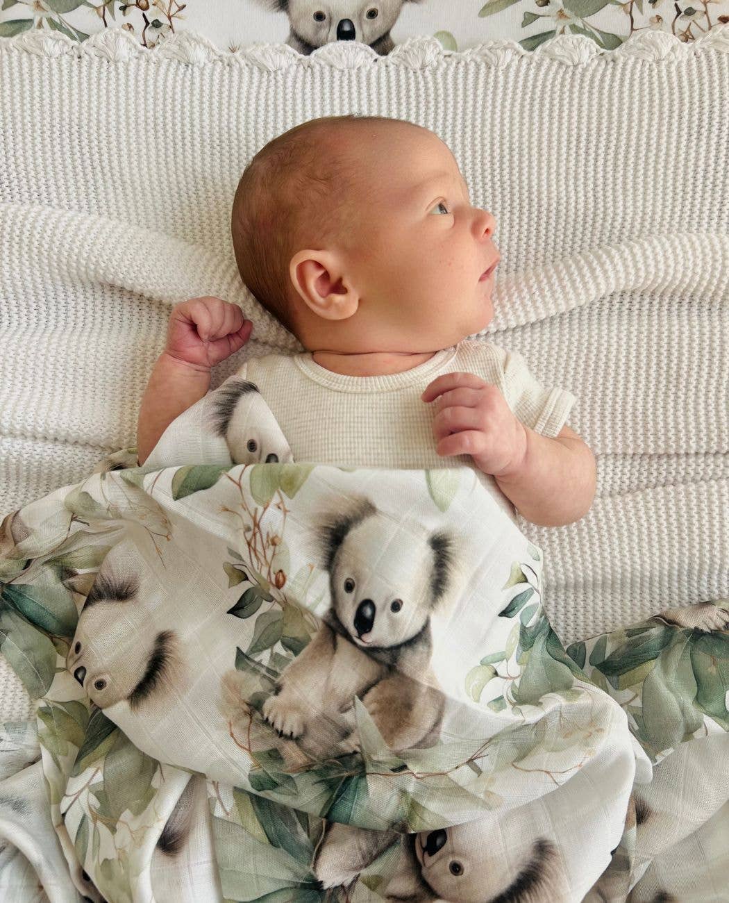 Cuddle Bug &amp; Co Bamboo Muslin Wrap Koala