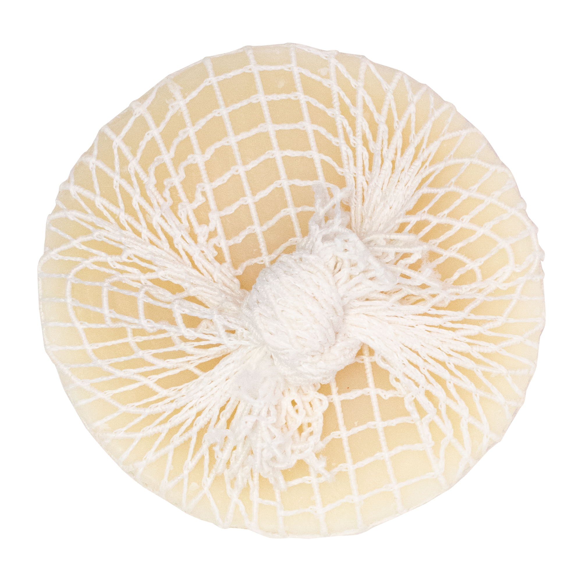 Tuffy Stain Remover with Net - Australian Lemon Eucalyptus