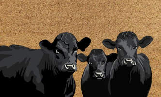 Soulmate PVC Back Mat Angus Cow 45x75cm