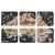 Ashdene Land Down Under Coasters Australia Set 6