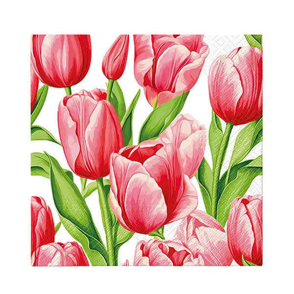 Paw Lunch Napkins 33cmTulip Time