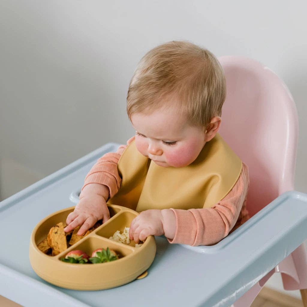 Suckie Scoop Divided Suction Plate: Fairy Floss