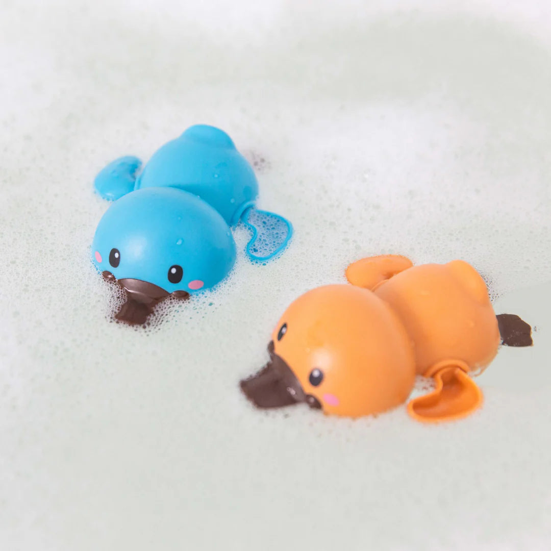 Platypus Bath Racers