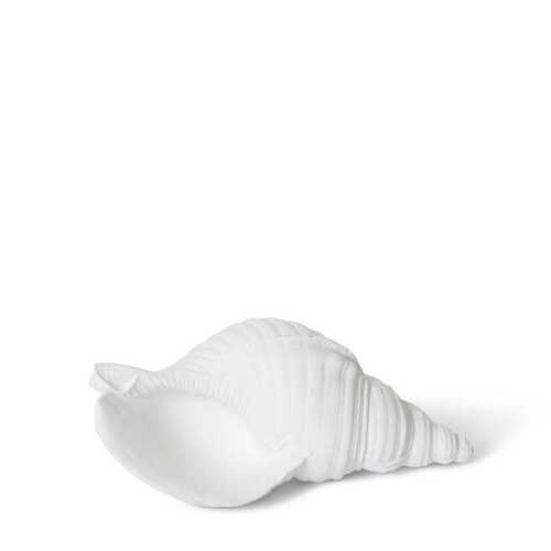 Conch Shell Sculpture 25x12x9cm
