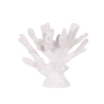 White Staghorn Coral Large