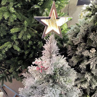 Star Tree Topper White Light