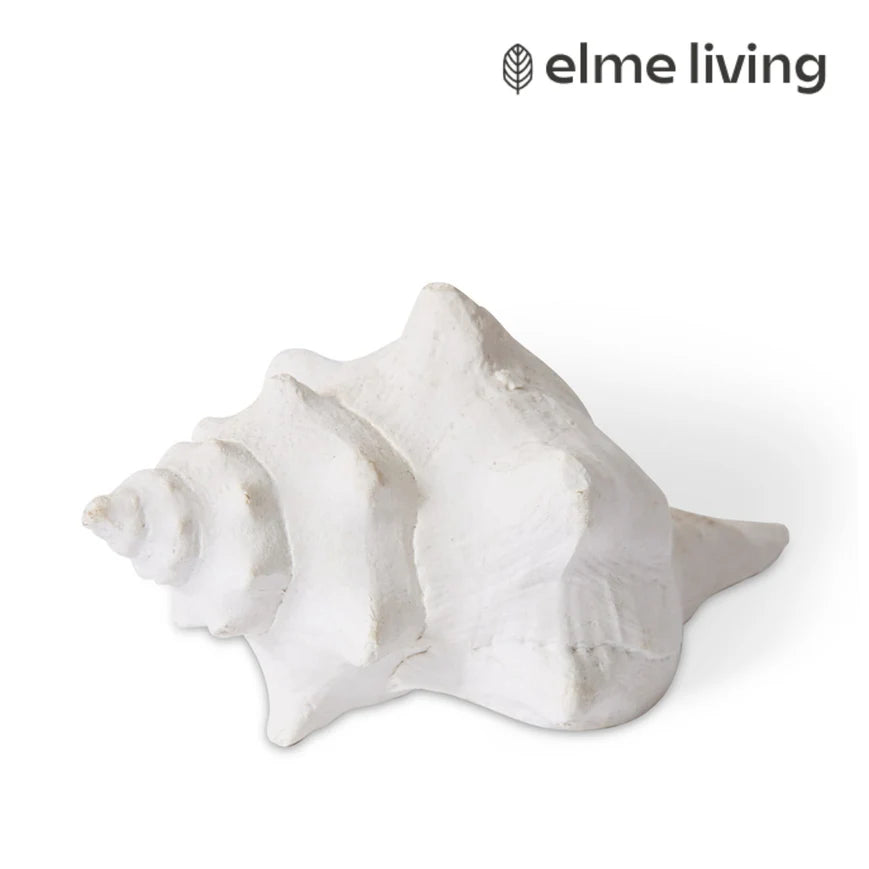 Shell Horse Conch White 14x9x7
