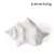 Shell Horse Conch White 14x9x7