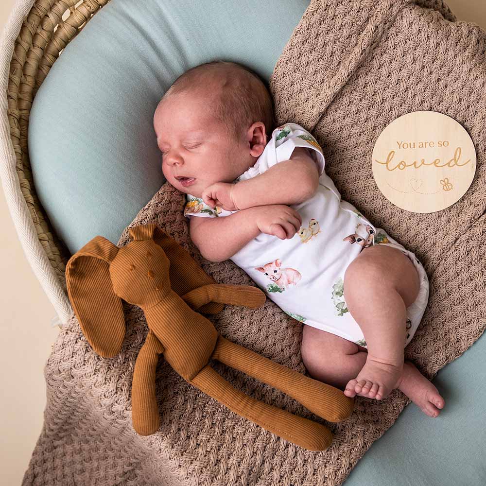 Farm Short Sleeve Organic Bodysuit: 6-12 Months (0)