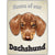 Artique Plaque Home of our Dachshund Red