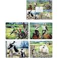 Ashdene A Country Life 4pk Assorted Placemat