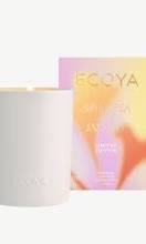 Ecoya Sweet Pea And Jasmine Ceramic Candle Limited Edition