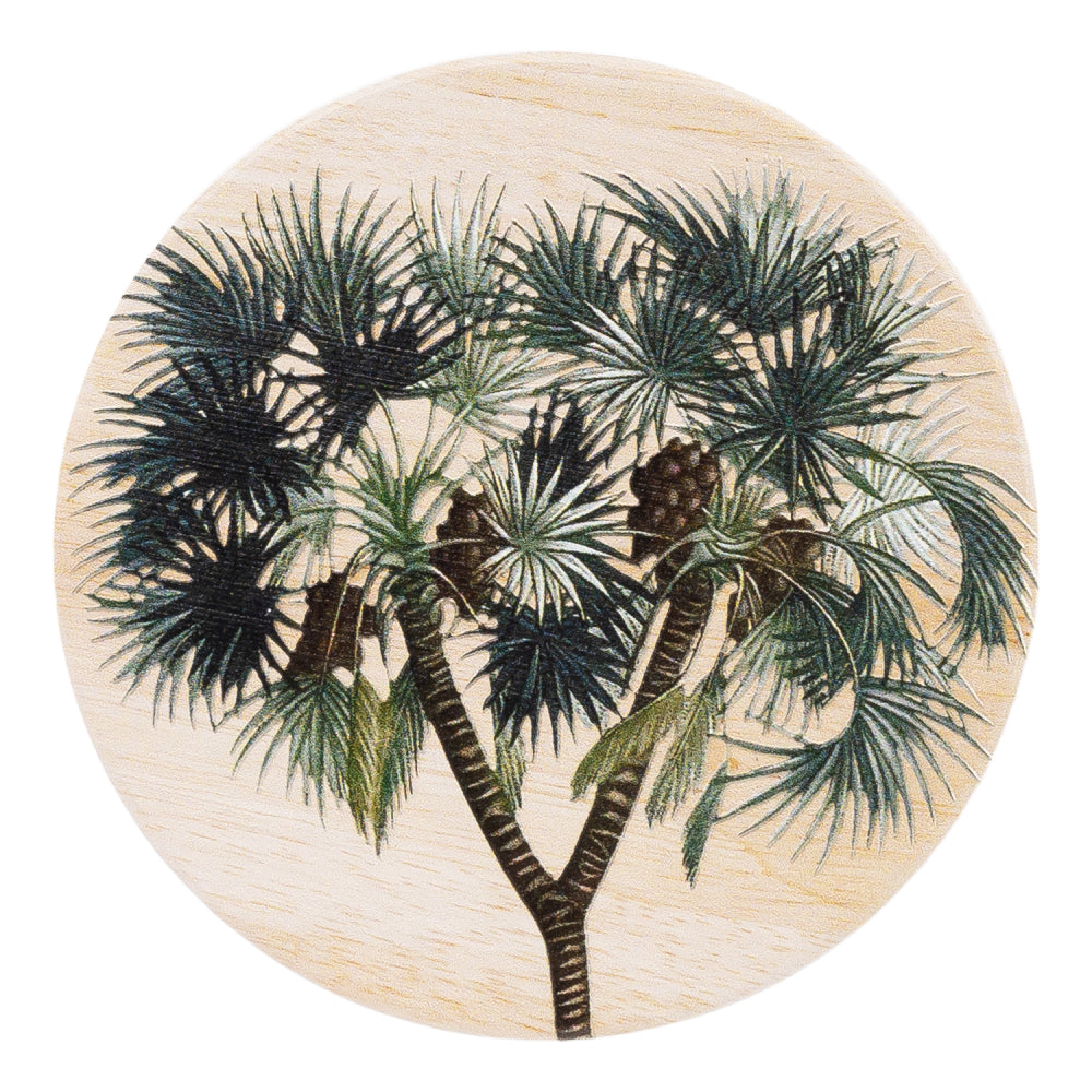 Splosh Exotic Yucca Coaster